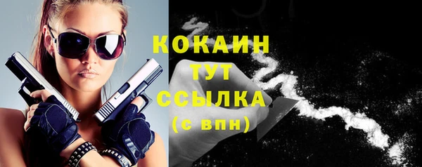 эйфоретик Арсеньев