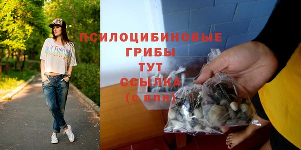 бошки Аркадак