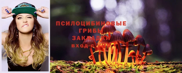 бошки Аркадак