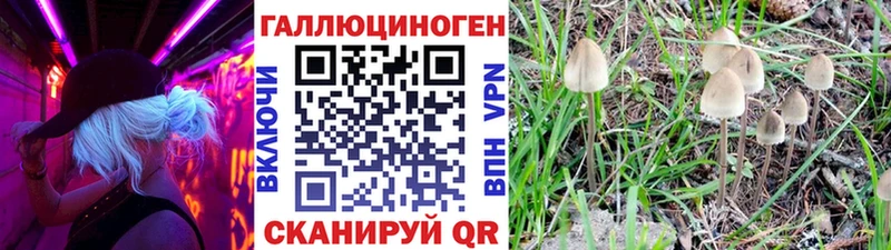 дарнет шоп  Казань  hydra сайт  Галлюциногенные грибы Psilocybine cubensis 