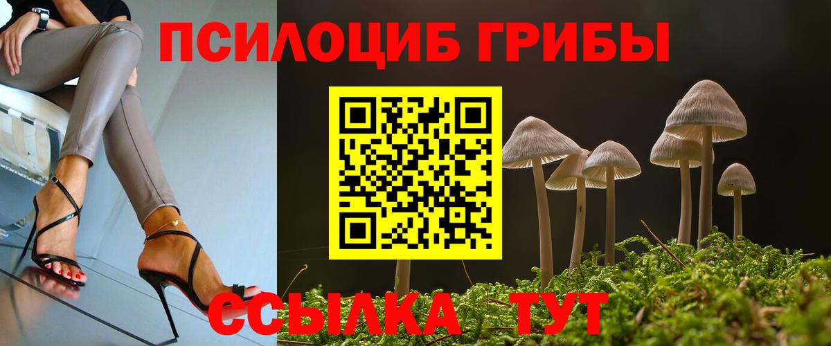 Псилоцибиновые грибы MAGIC MUSHROOMS Казань